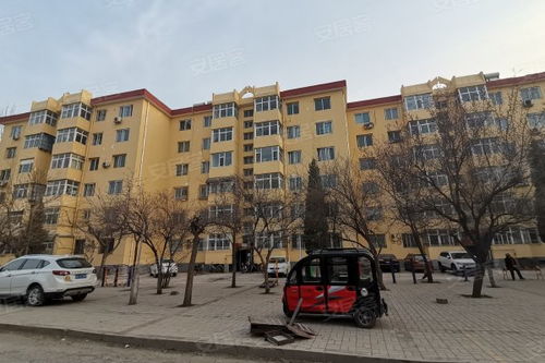 經(jīng)緯廠二生活區(qū)居住體驗(yàn)與周邊房產(chǎn)中介評價(jià)